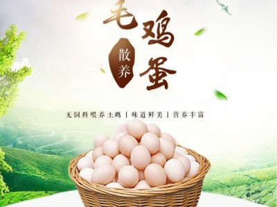雪毛鸡鸡蛋无抗生素谷物粮食喂自有农场纯天然富硒图2
