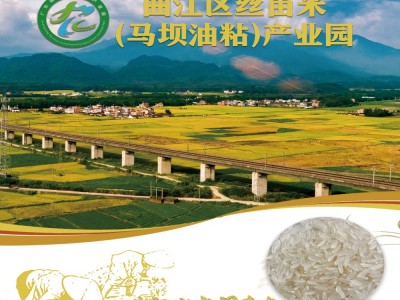 丝苗米（马坝油粘）产业链招商引资项目