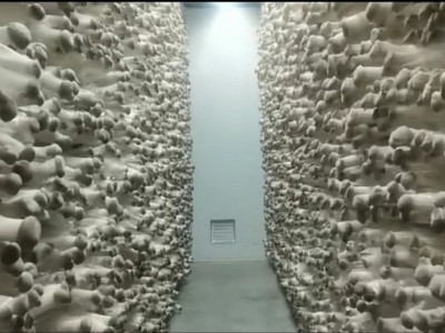 农业产业链招商项目库-麦角硫因图3