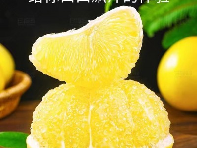 韶关南雄红砂稀柚（果期10月底到12月初）图2
