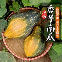 乐昌香芋南瓜2.5kg一颗