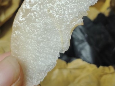 脆冠梨*九峰高山露天种植5斤一箱图6