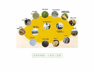 乡村振兴爱心米·马坝油粘米（包运费）图7