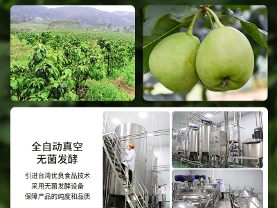 【珞玺记】浓缩山楂益生元酵素果蔬汁饮品（375ml）/瓶图4