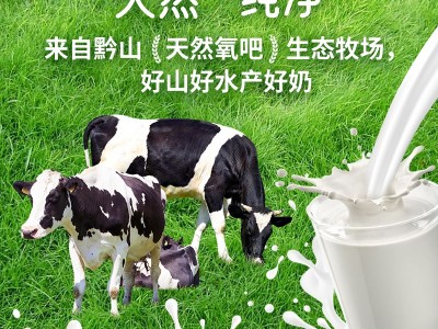 遵义纯牛奶图3