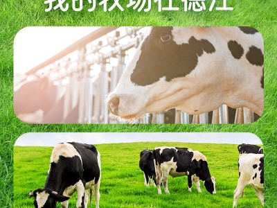 遵义纯牛奶图2