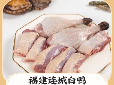 连城白鸭(连城白鹜鸭)图4