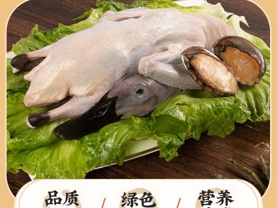 连城白鸭(连城白鹜鸭)图2