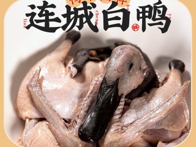 连城白鸭(连城白鹜鸭)图6