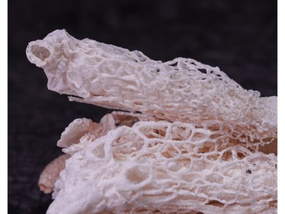 多彩菇事竹荪单罐30克/罐图2