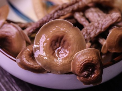 多彩菇事鹿茸菌单罐80克/罐图3