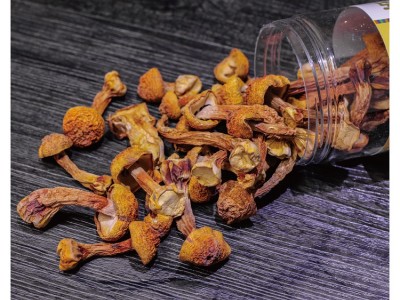 多彩菇事姬松茸单罐100克/罐图2