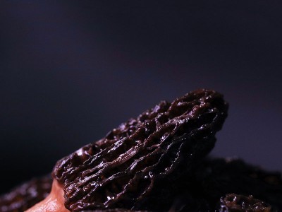 多彩菇事羊肚菌单罐50克/罐图4