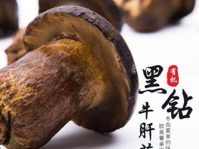 多彩菇事黑牛肝菌单罐60克/罐图2