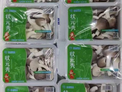秀珍菇图3