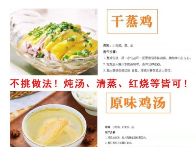 150日龄小母鸡图2