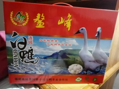 连城白鸭图3