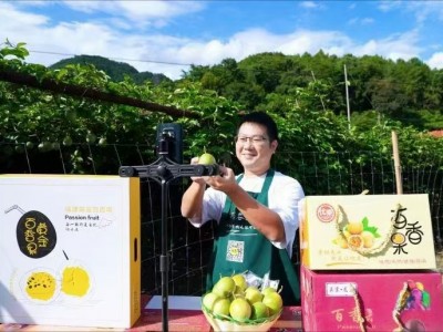 百香果鲜果图3